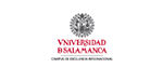 Precio y Opiniones del Máster en Seguridad en Internet en Universidad de Salamanca